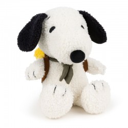 Snoopy With Woodstock In...
